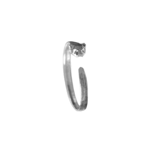 Tigre di giogento - Cuff