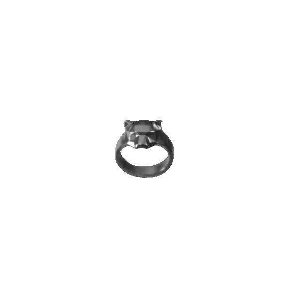 Tigre di giogento - Ring